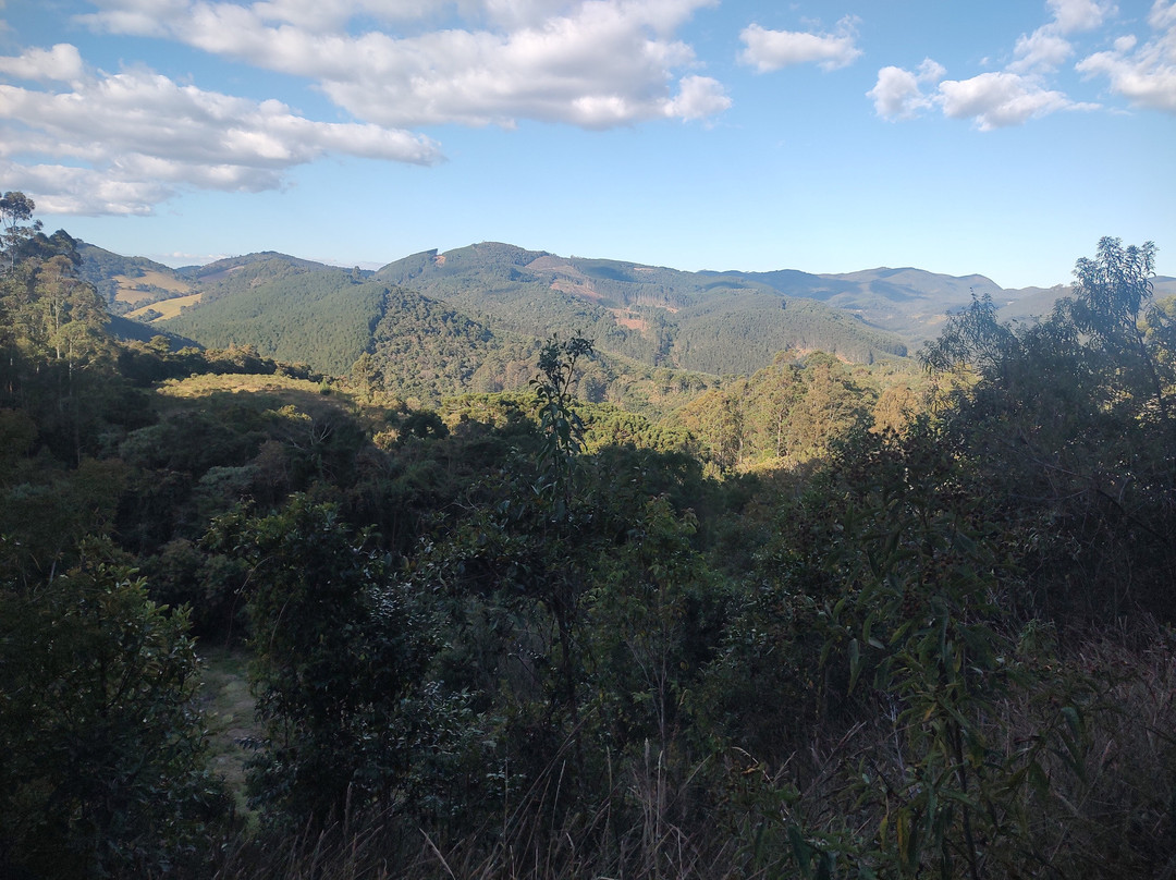 Araukaria Brazil - Monte Verde-蒙特贝尔德必去景点