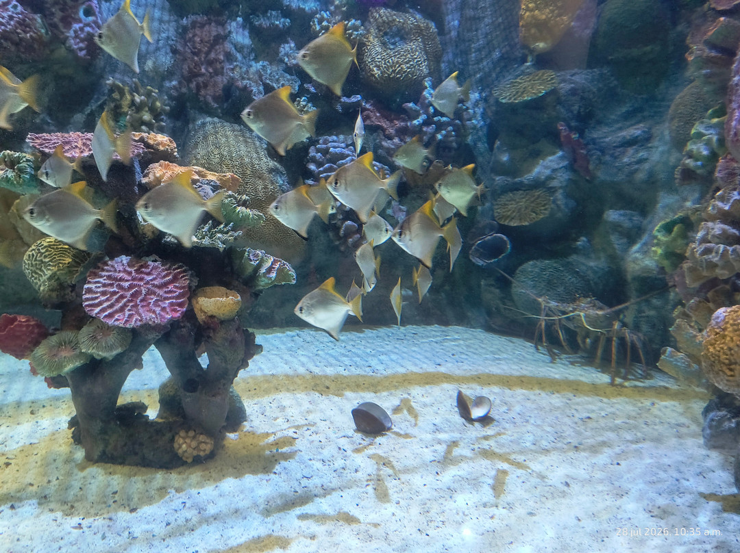 Acuario Michin Guadalajara-瓜达拉哈拉必去景点