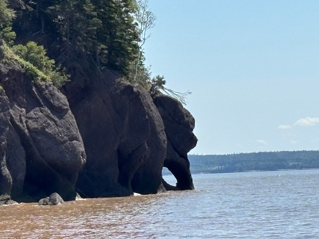 Hopewell Rocks-霍伯威尔角必去景点