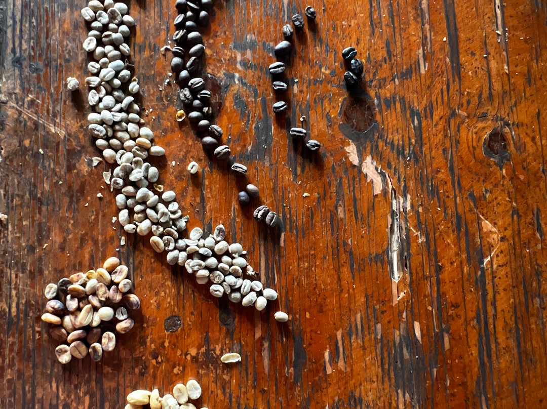 El Toledo Coffee Tour-Atenas必去景点