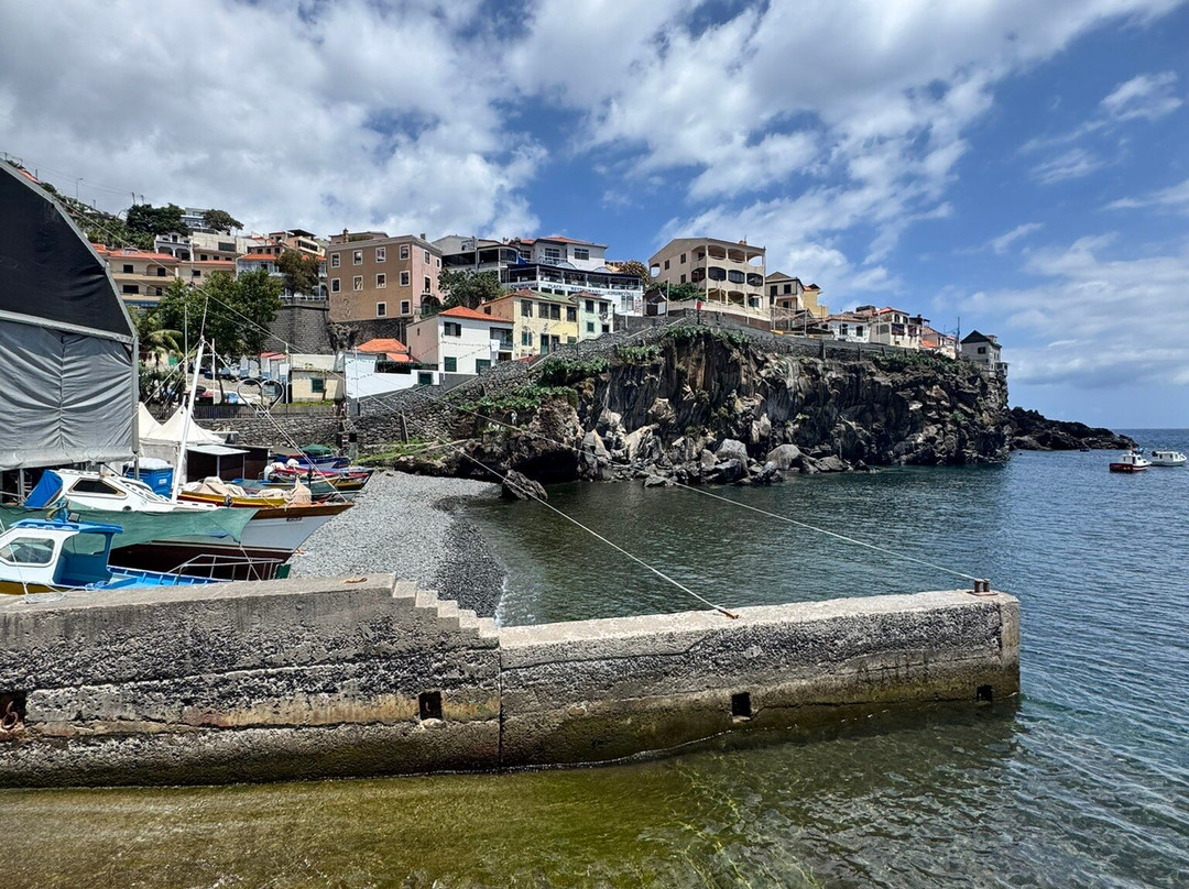 Baia de Camara de Lobos-Camara De Lobos必去景点