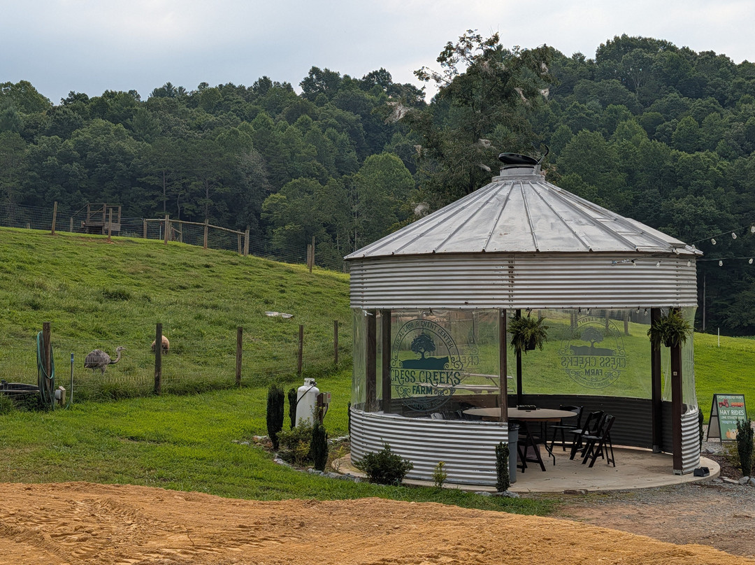 Cress Creeks Farm And Corn Maze-Ellijay必去景点
