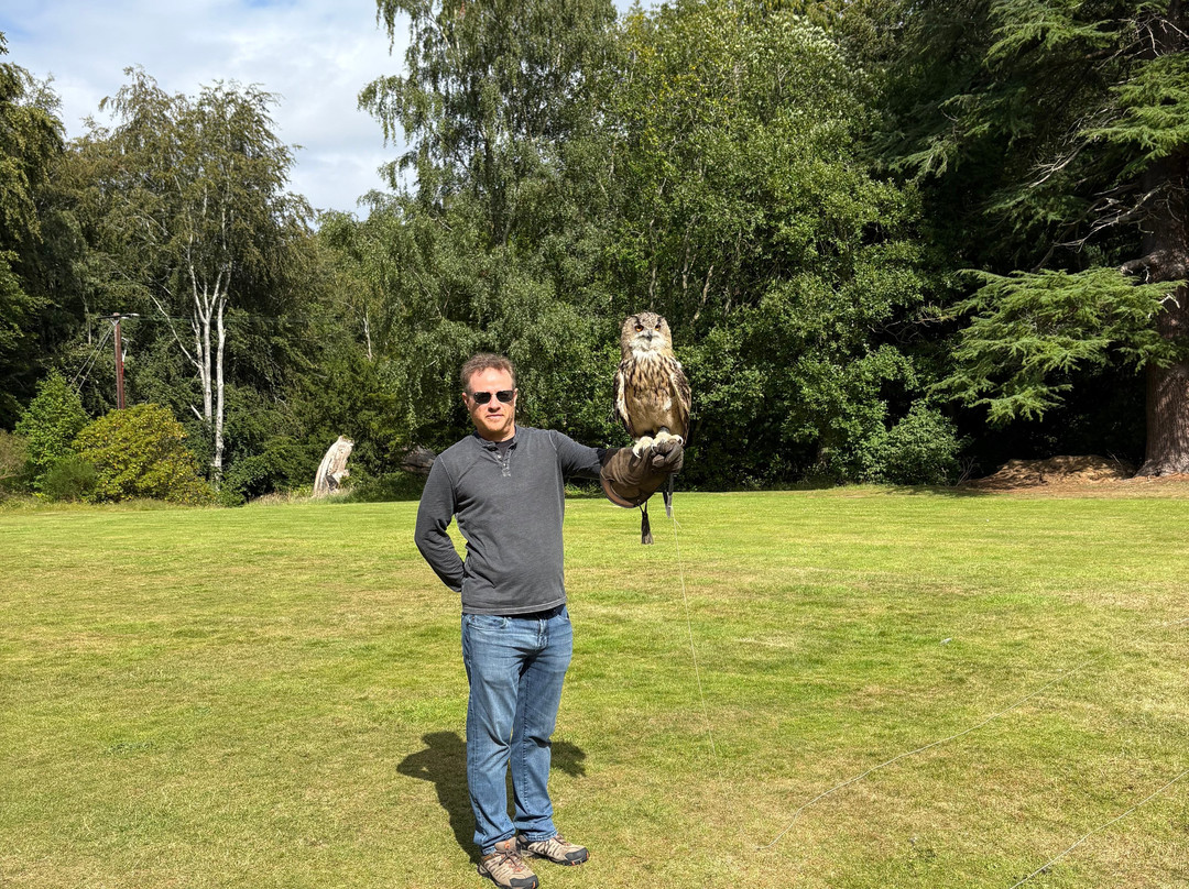 Dalhousie Castle Falconry-邦尼里格必去景点