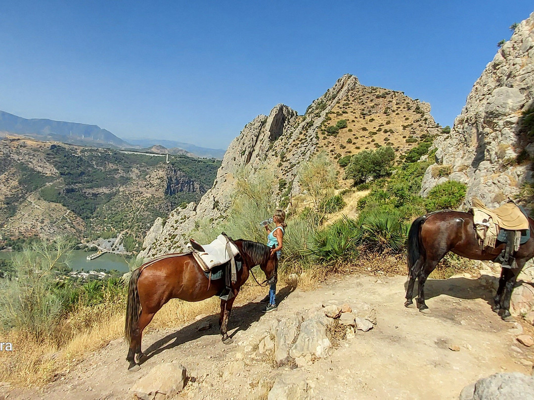 Horse Riding El Chorro-El Chorro必去景点
