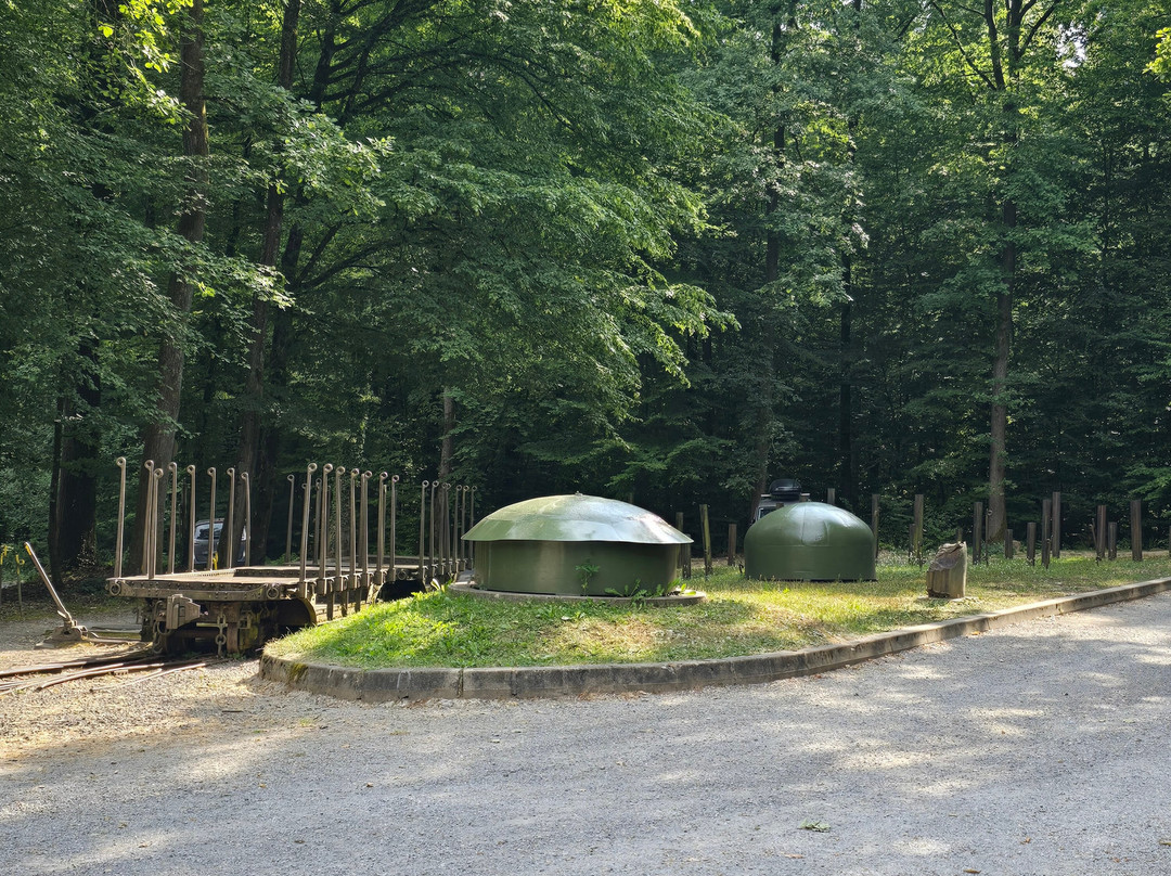 Fort De Schoenenbourg-Hunspach必去景点