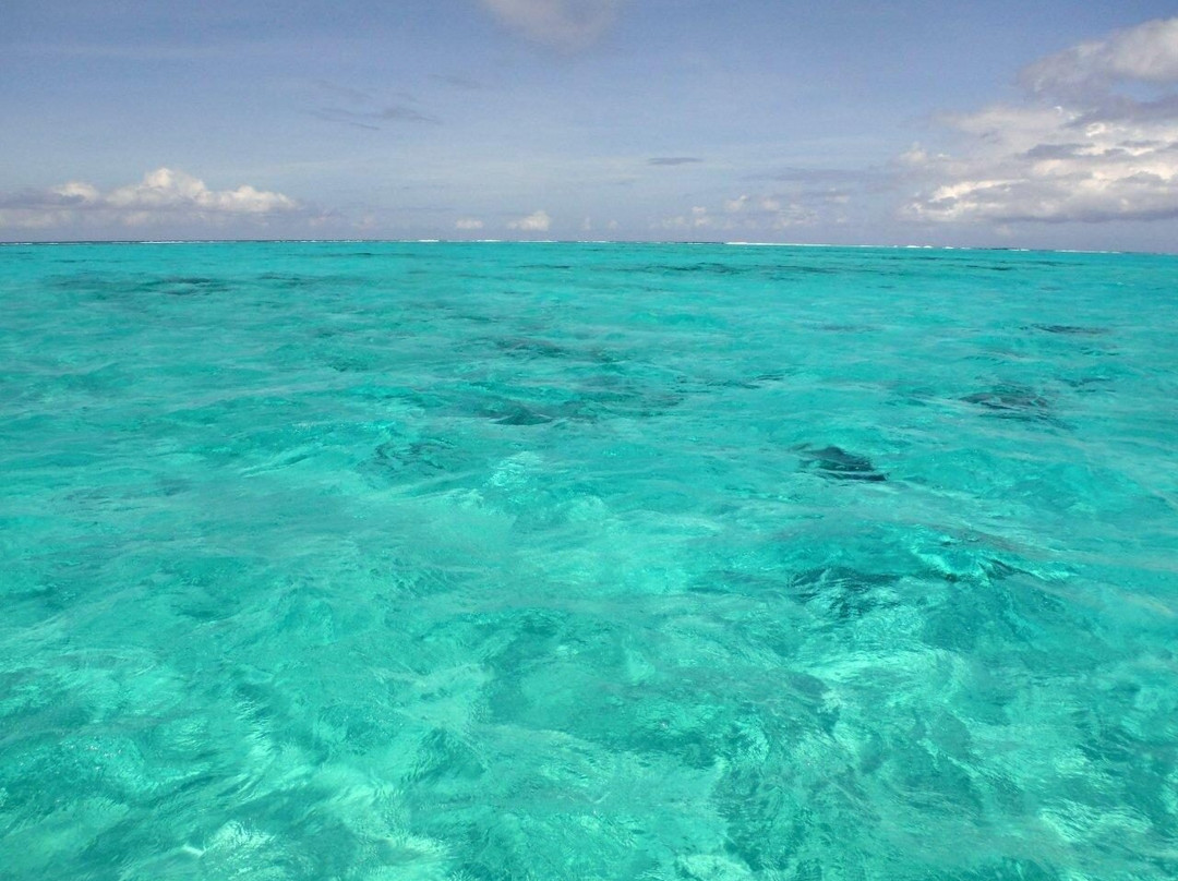 Tahiti Lagoon Paradise-普纳奥亚必去景点