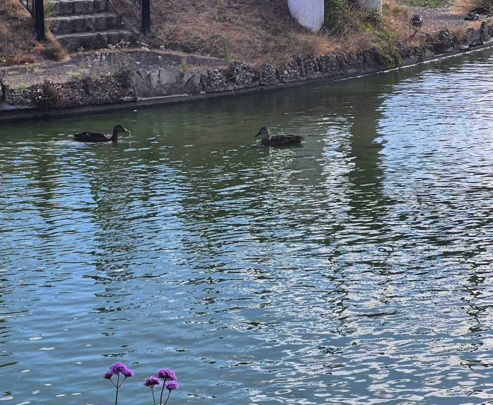 The Venetian Waterways-大雅茅斯必去景点