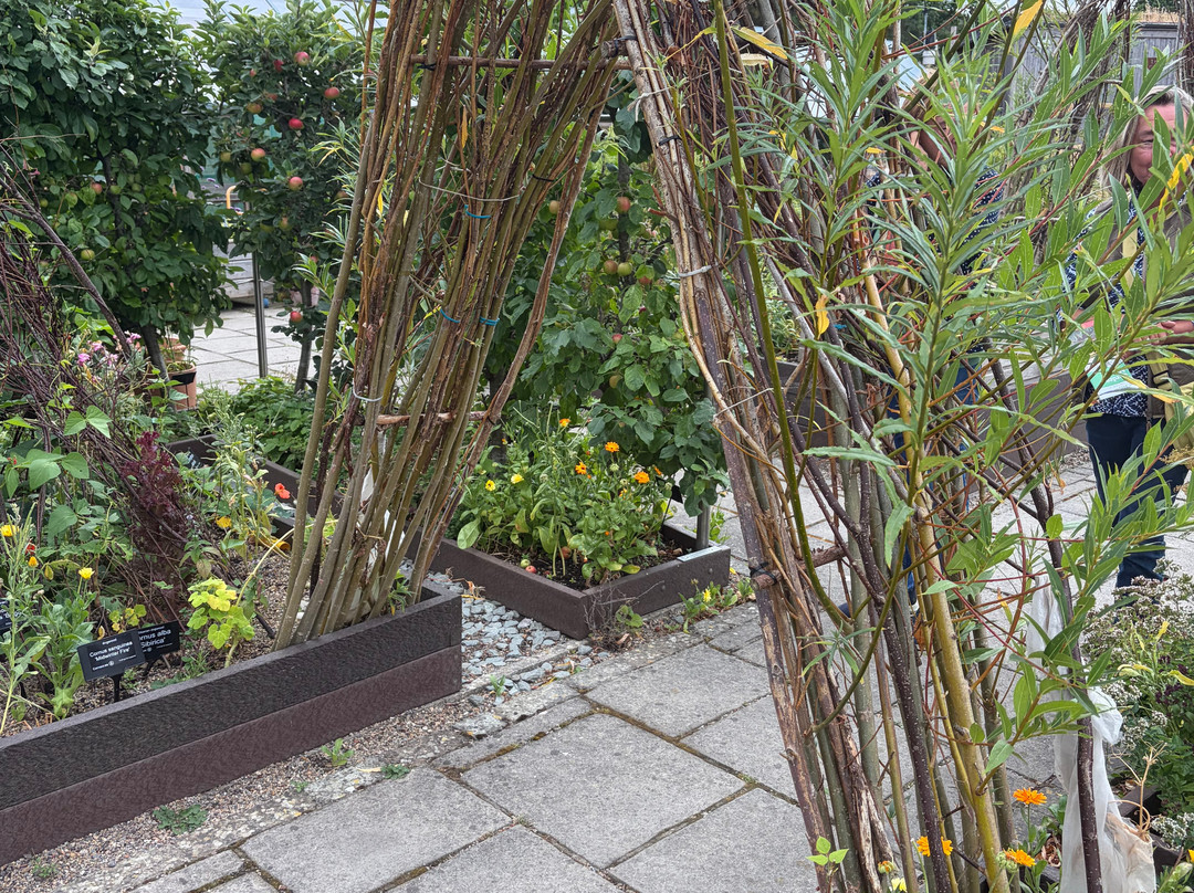 RHS Garden Harlow Carr-哈罗盖特必去景点