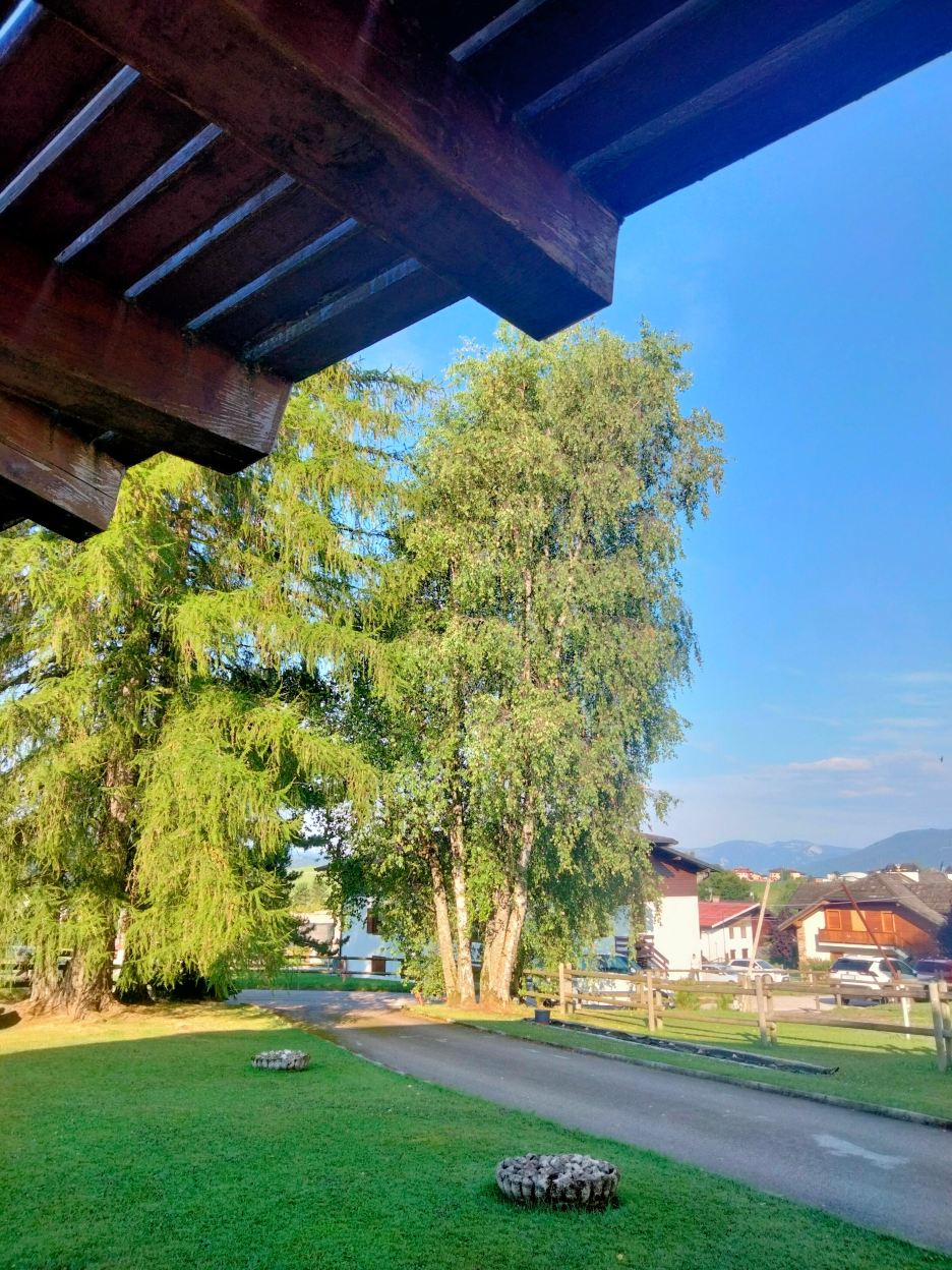 B&B Ai Tre Larici-旅行者