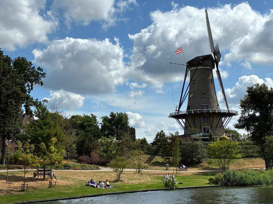 Molen van Groot (Piet)-Alkmaar必去景点