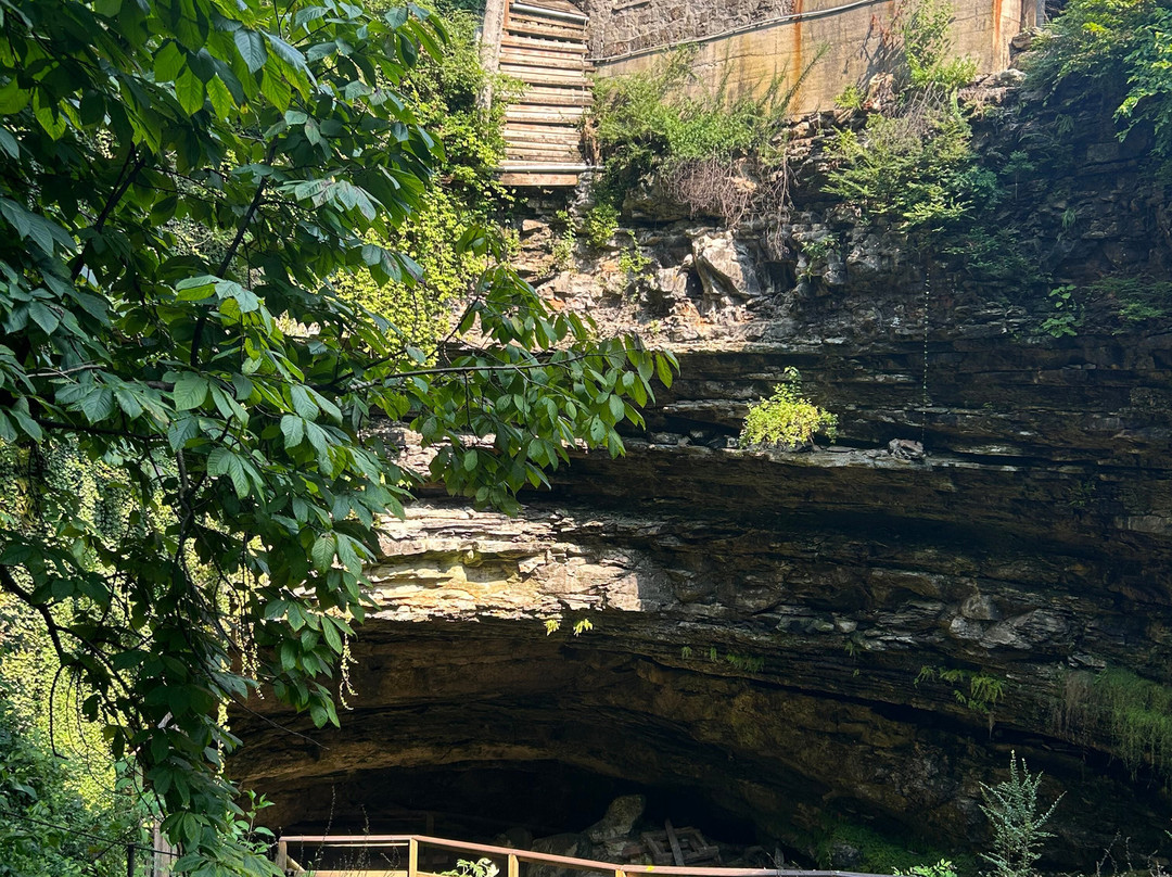 Hidden River Cave and American Cave Museum-Horse Cave必去景点