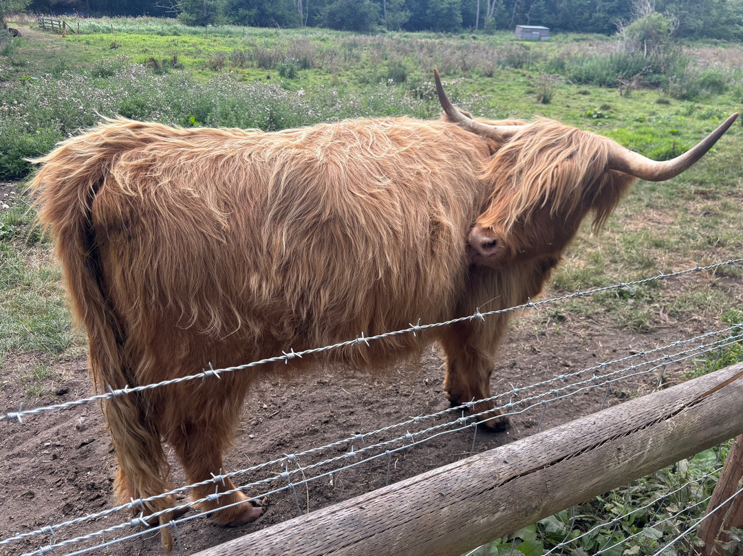 Taverham Mill Nature Reserve and Fishery-Taverham必去景点