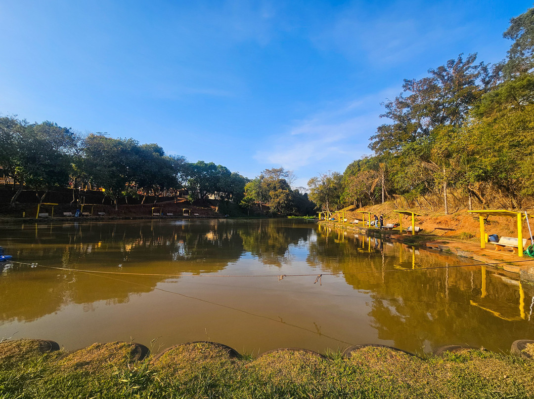 Termas Pacu Parque Aquático & Pesca-Mineiros do Tiete必去景点