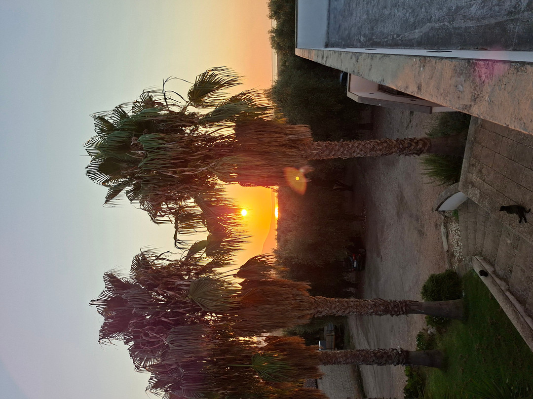 Mensana Masseria Urbana