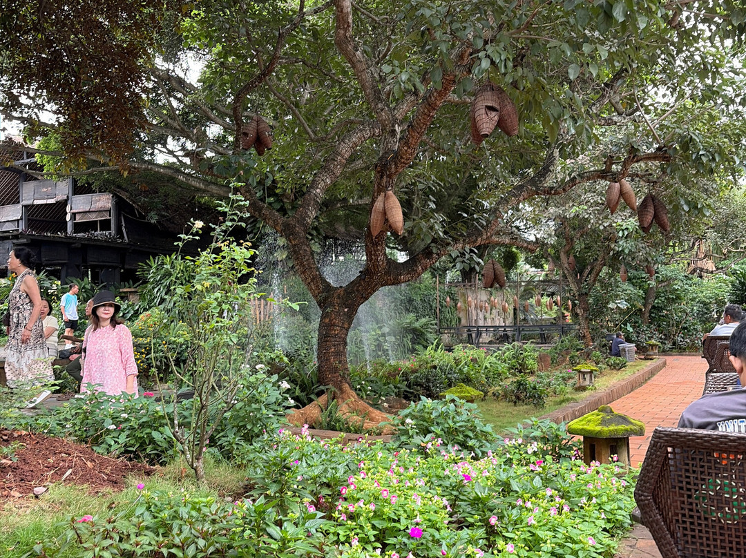 Trung Nguyen Village Coffee-托伯莫里必去景点
