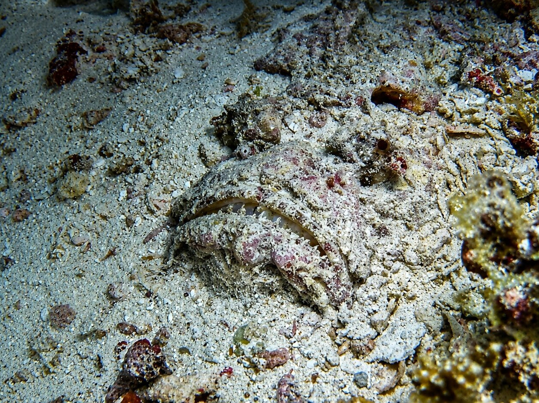 SUB AQUA DiveCenter Angaga-安嘎嘎岛必去景点