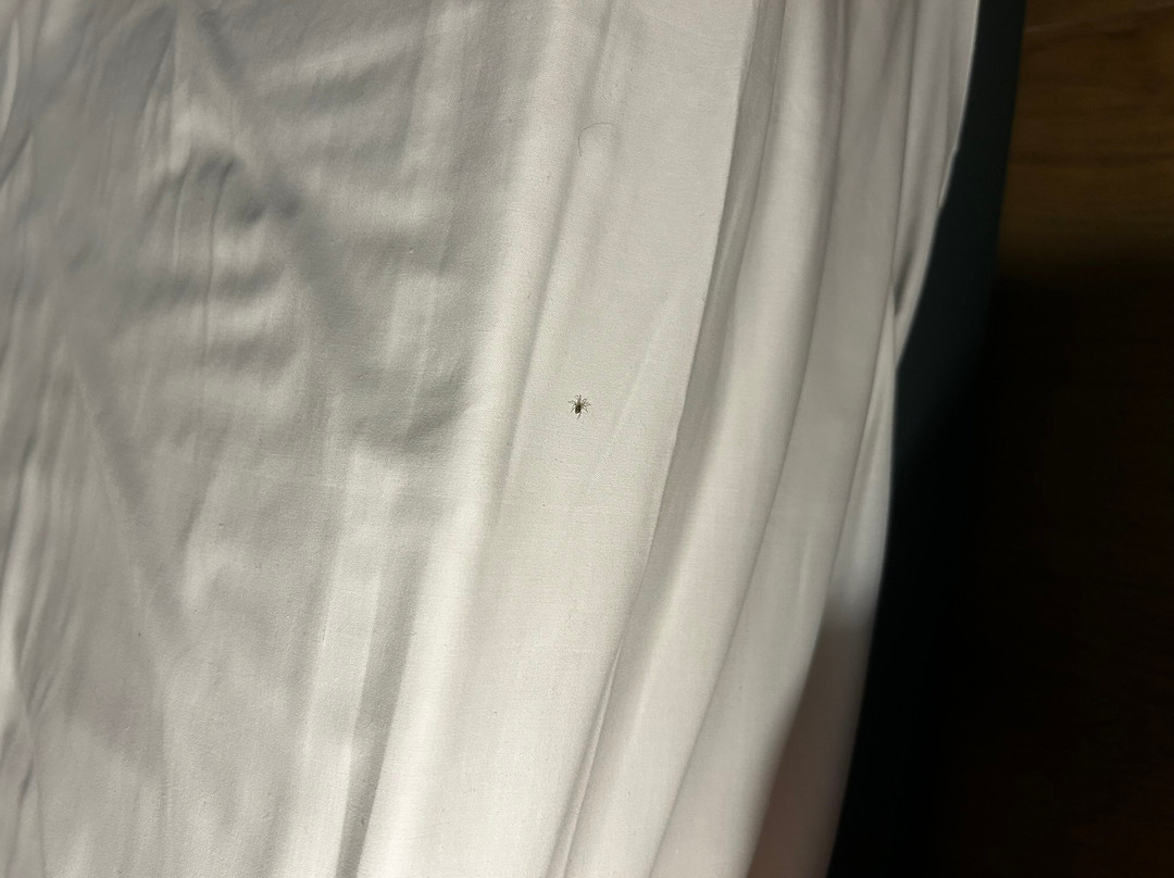 皮亚琴察思路酒店主图