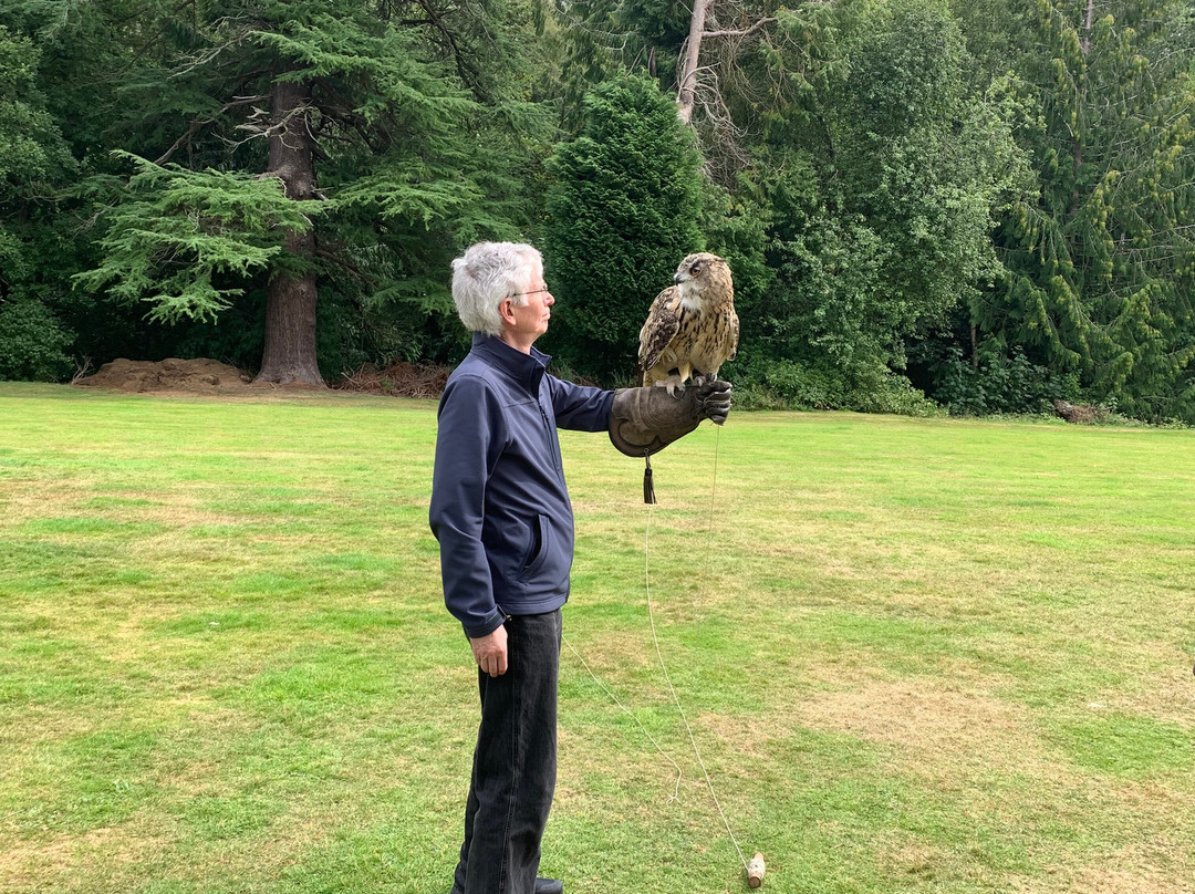 Dalhousie Castle Falconry-邦尼里格必去景点