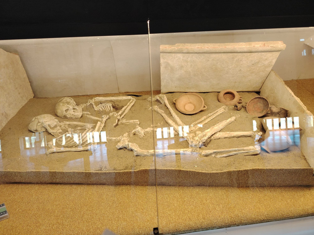 Himera Sito Archeologico e Museo-Campofelice di Roccella必去景点