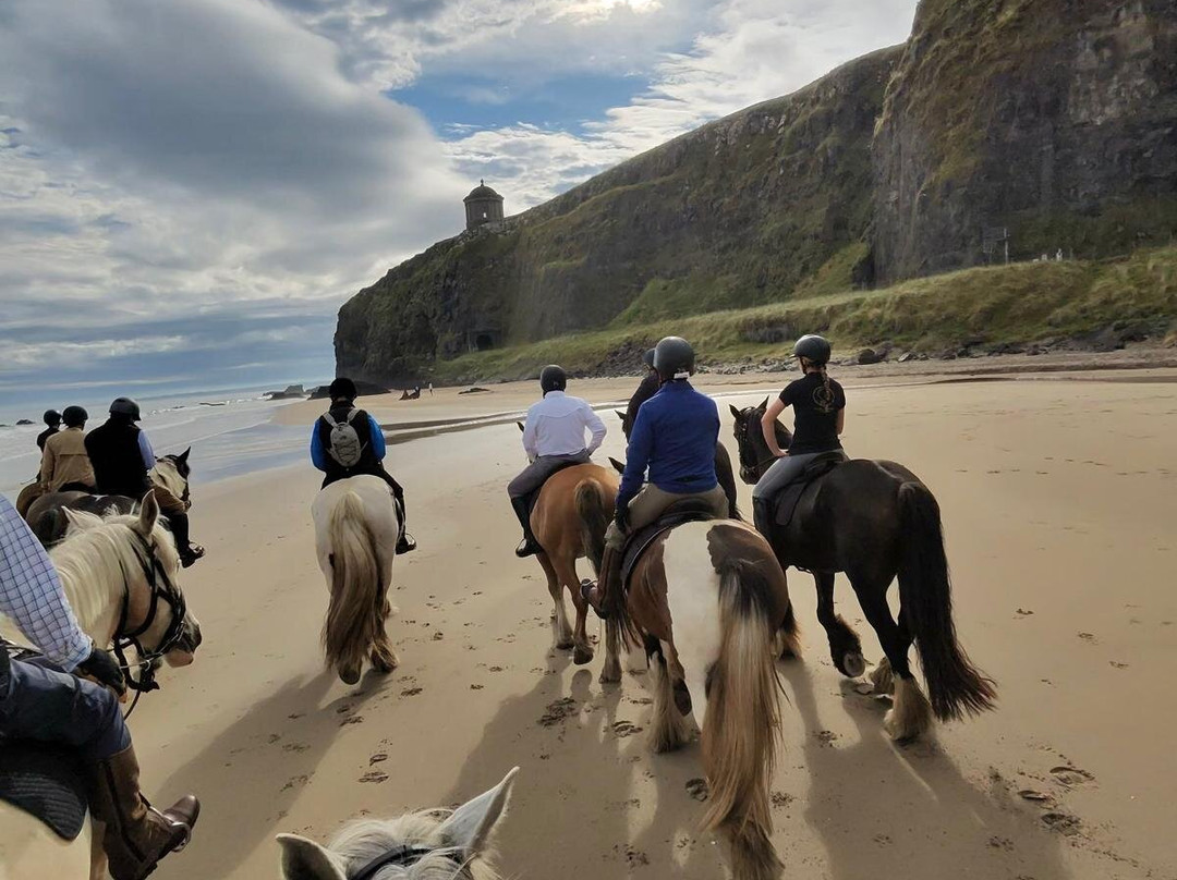 Bespoke Equestrian Ireland-都柏林必去景点
