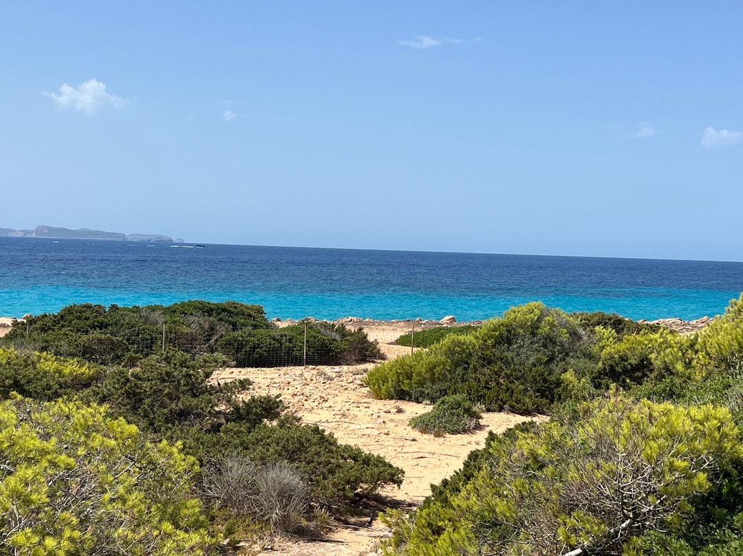 Far De Ses Salines-Ses Salines必去景点