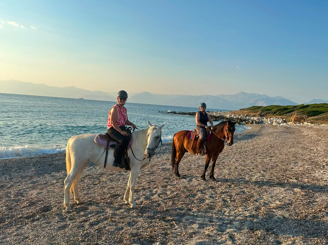 North Corfu Horses-Peritheia必去景点