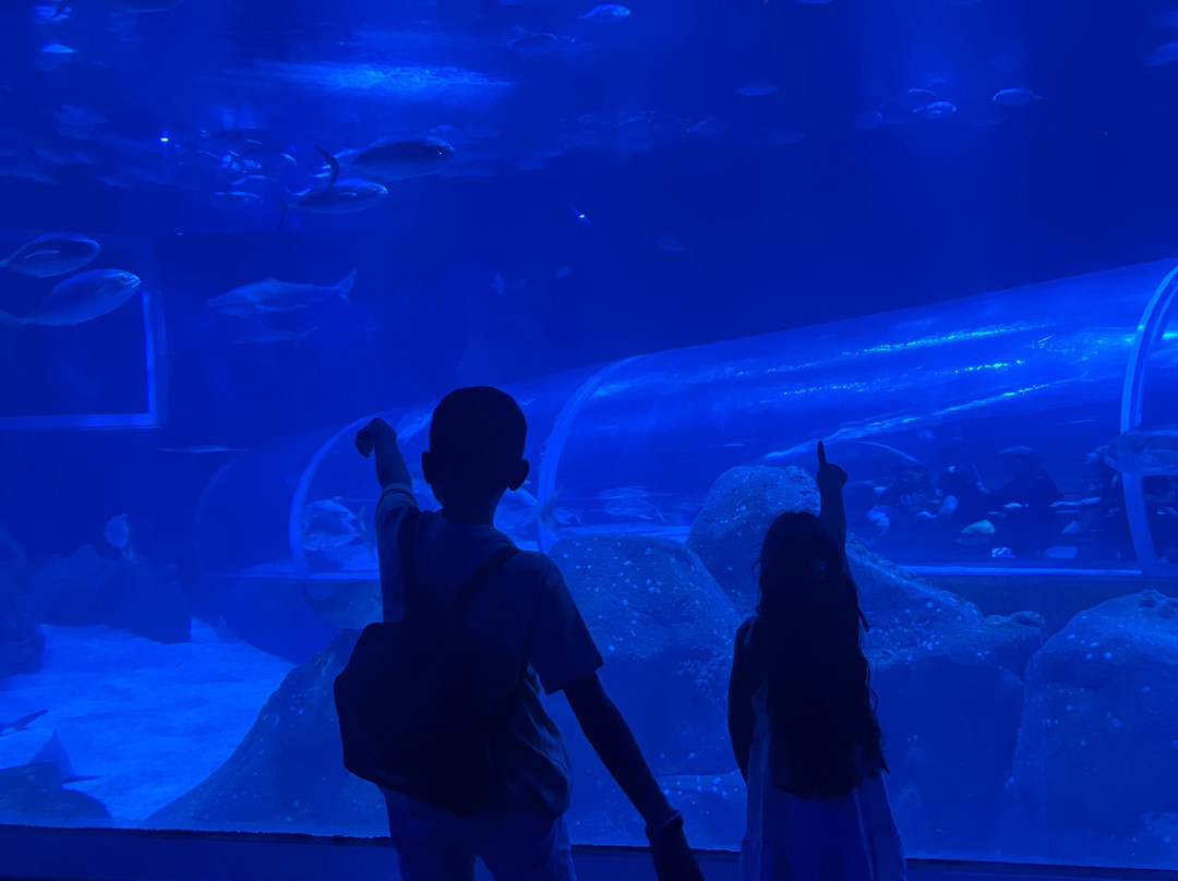 AquaRio-里约热内卢必去景点