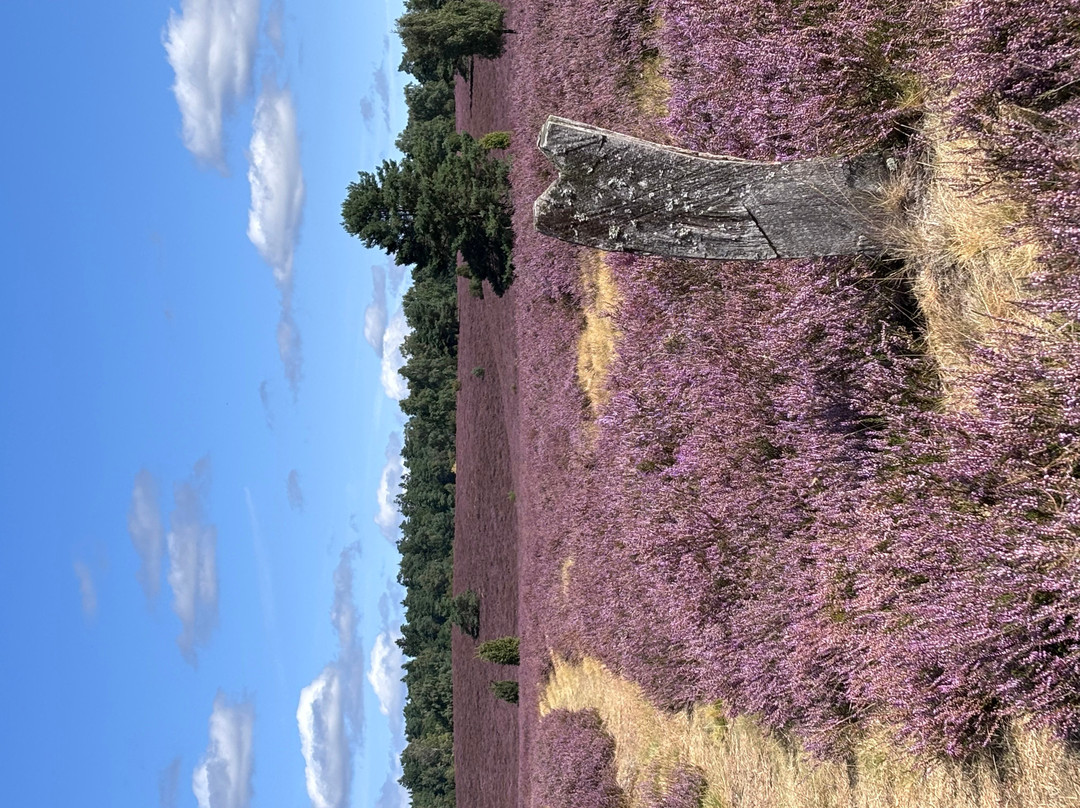 Naturpark Lüneburger Heide-Egestorf必去景点