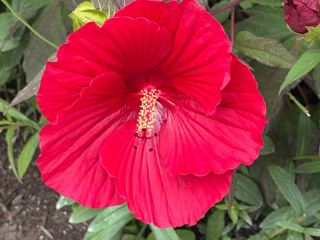 Coastal Maine Botanical Gardens-Boothbay必去景点