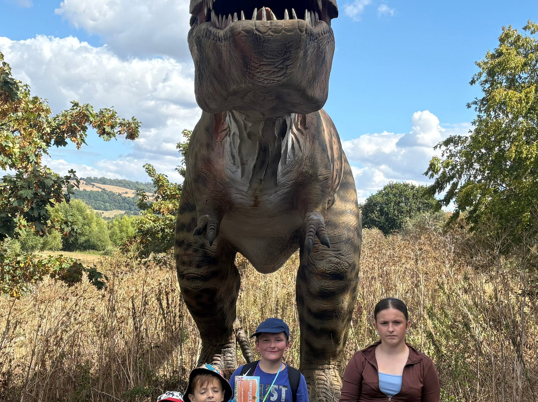 Avon Valley Adventure Park-Keynsham必去景点