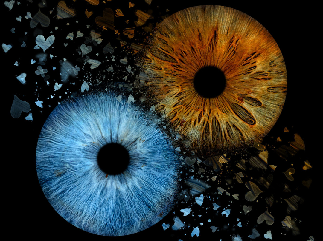 Iris Galerie Maastricht