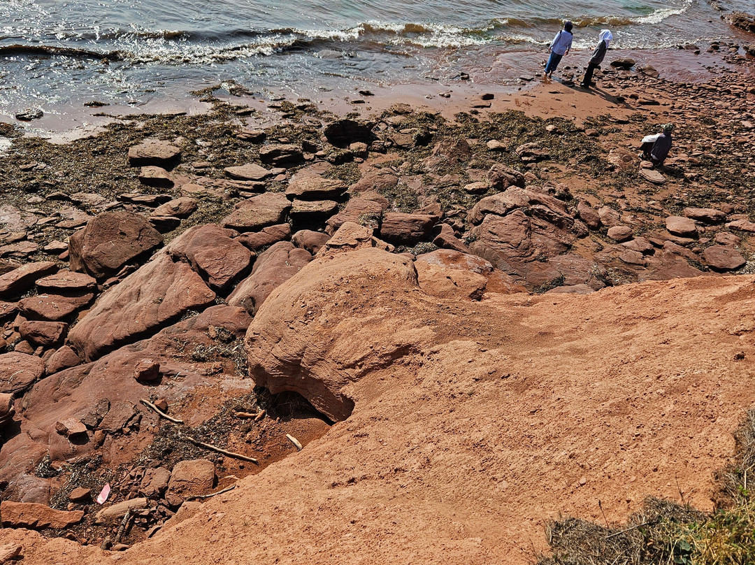 Chelton Beach Provincial Park-Bedeque必去景点