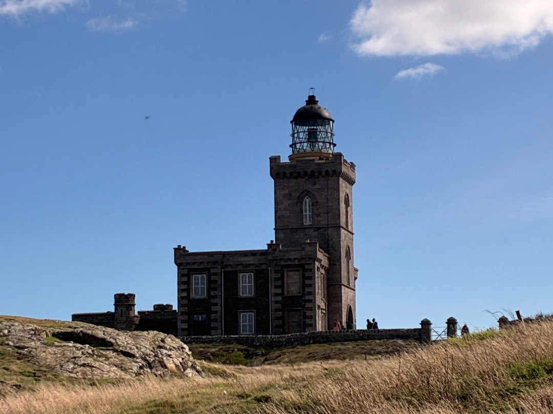 Anstruther Pleasure Cruises-Boat Day Tours-Anstruther必去景点