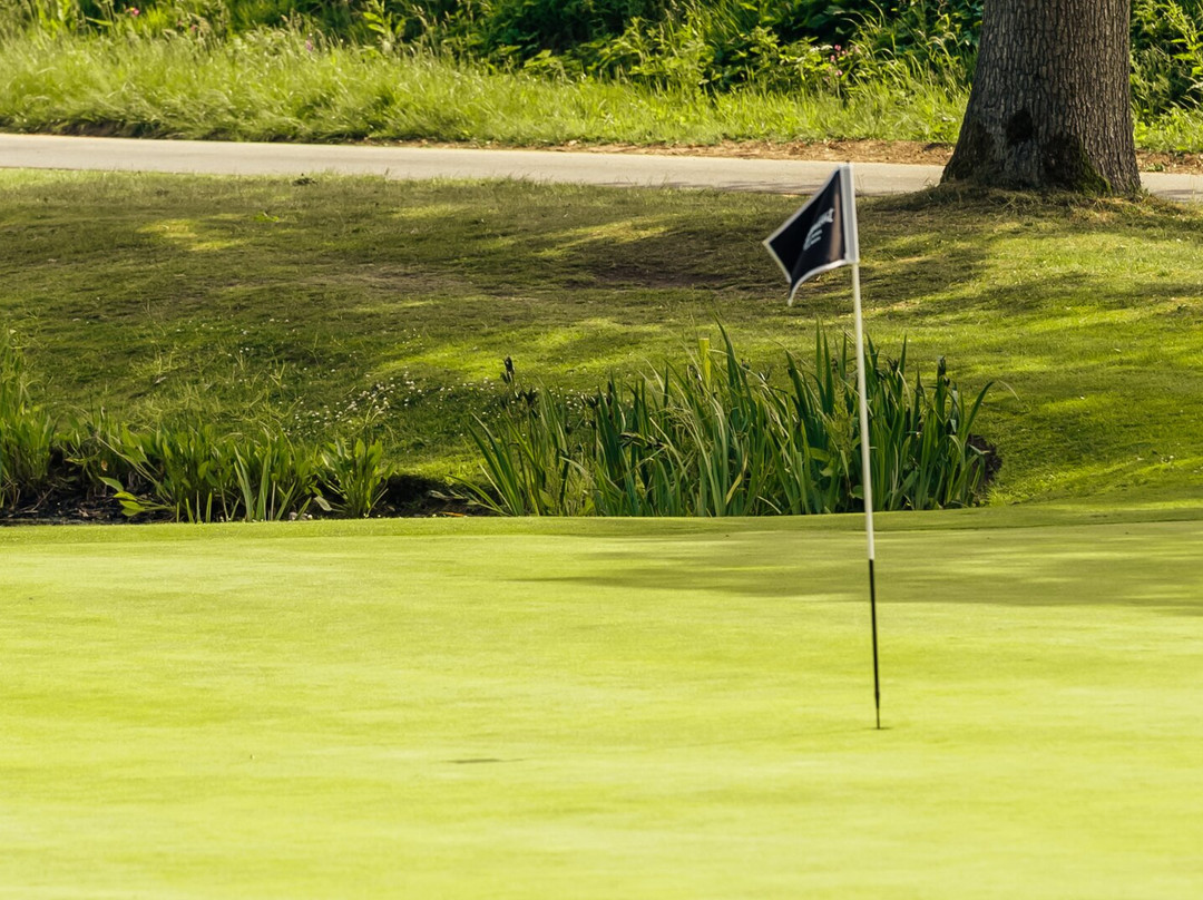 Golf At Fairmont Cheshire, The Mere-纳茨福德必去景点