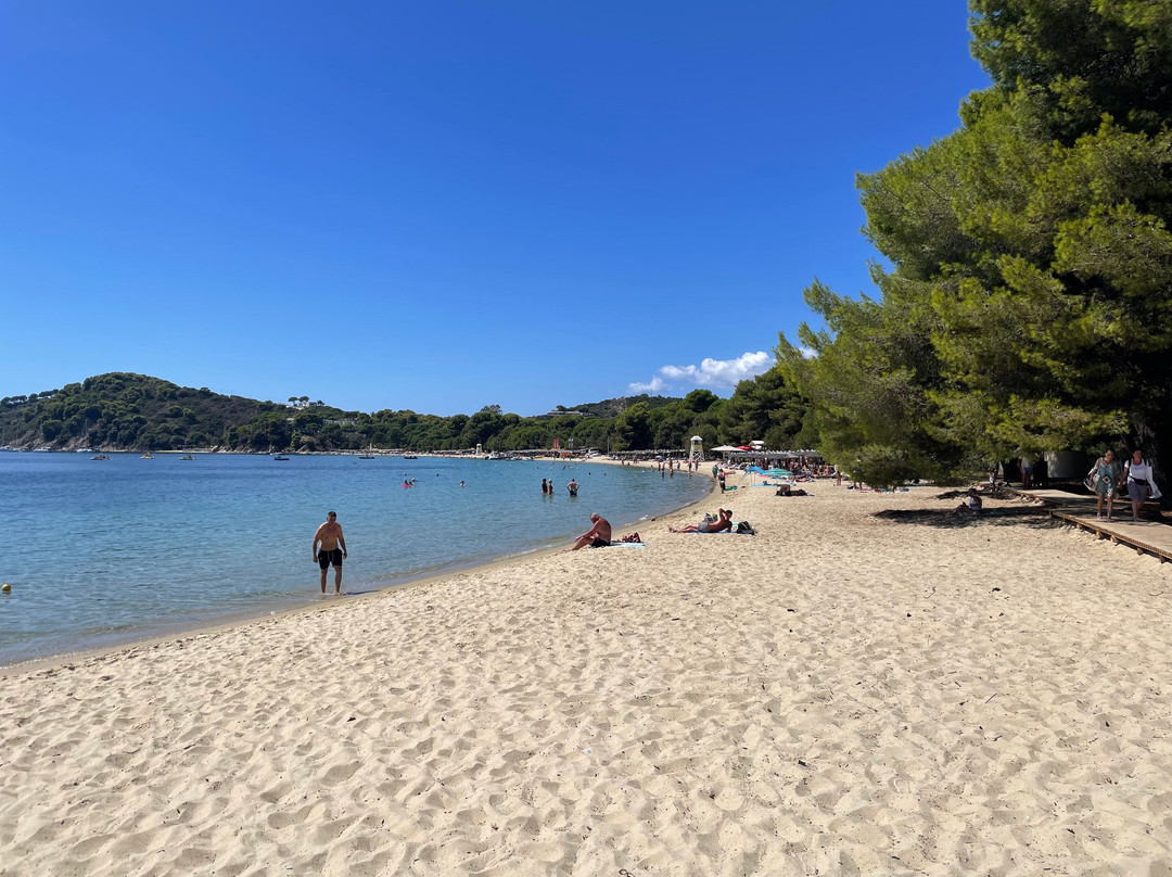 Koukounaries Beach-Koukounaries必去景点