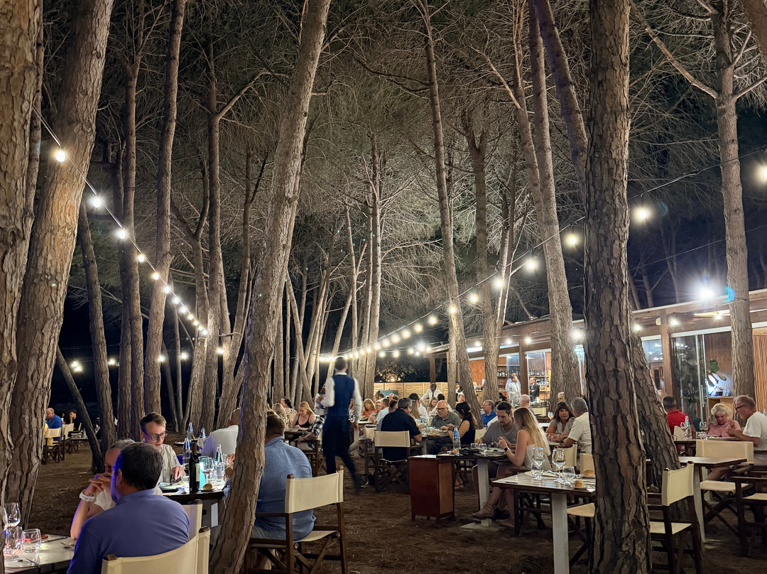 科尔特比安卡酒店-博维酒店主图