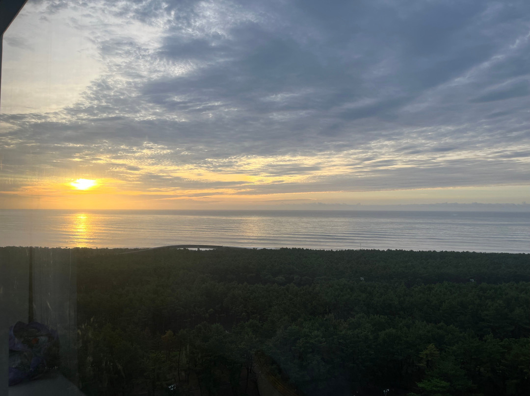 Phoenix Seagaia Resort-宫崎市必去景点