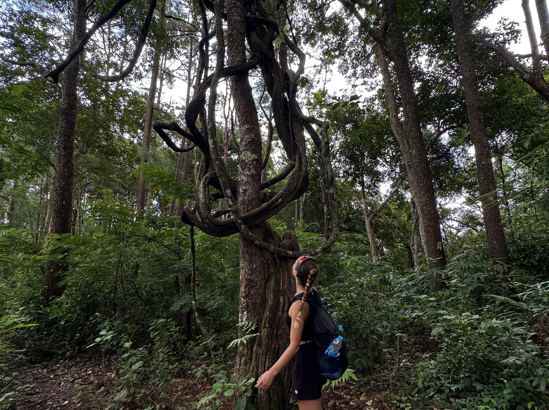 Mike's Authentic Trekking-清迈必去景点