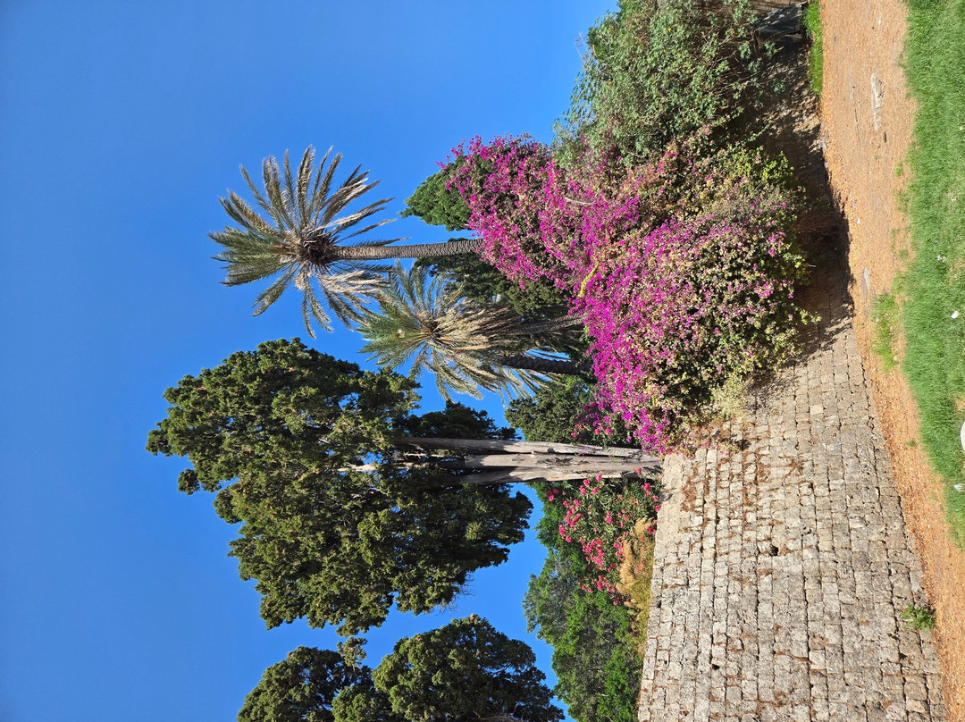 Old Town of Rhodes-罗德城必去景点