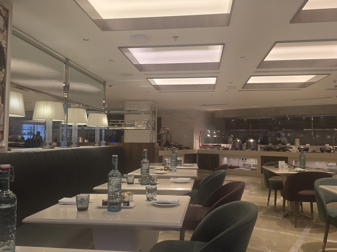 孟买国际机场Aurika酒店主图