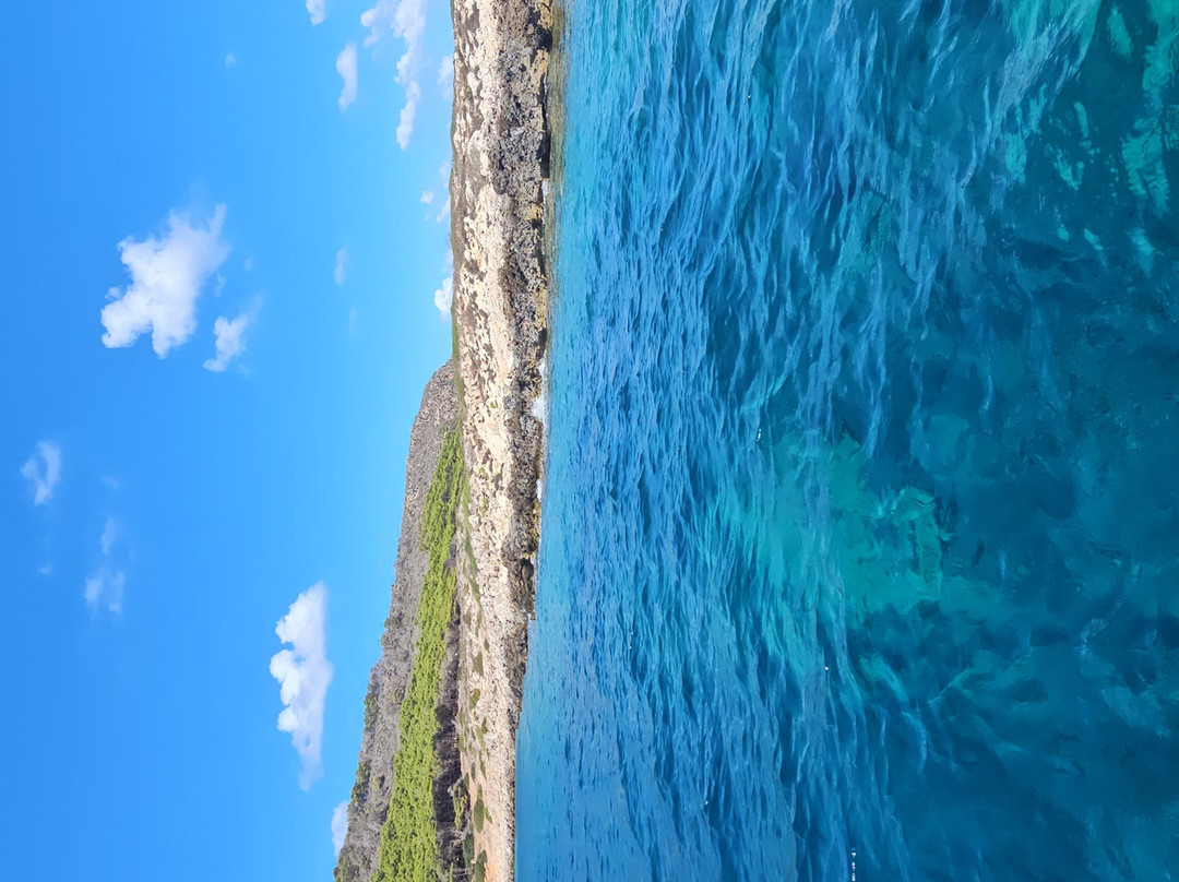 Levanzo in Barca-Levanzo必去景点