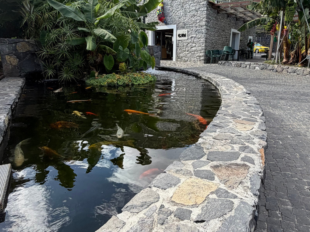 BAM - Centro Da Banana Da Madeira