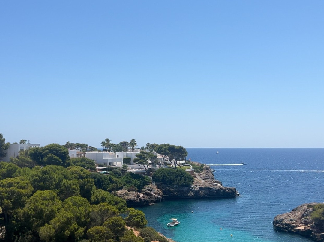 AluaSoul Mallorca Resort - Adults Only主图