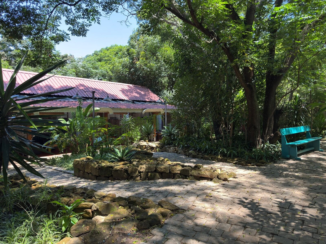 Hotel Au bois vert主图
