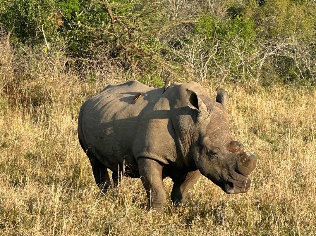 SAFARI, DRIVE & DIVE TOURS-Inhambane必去景点