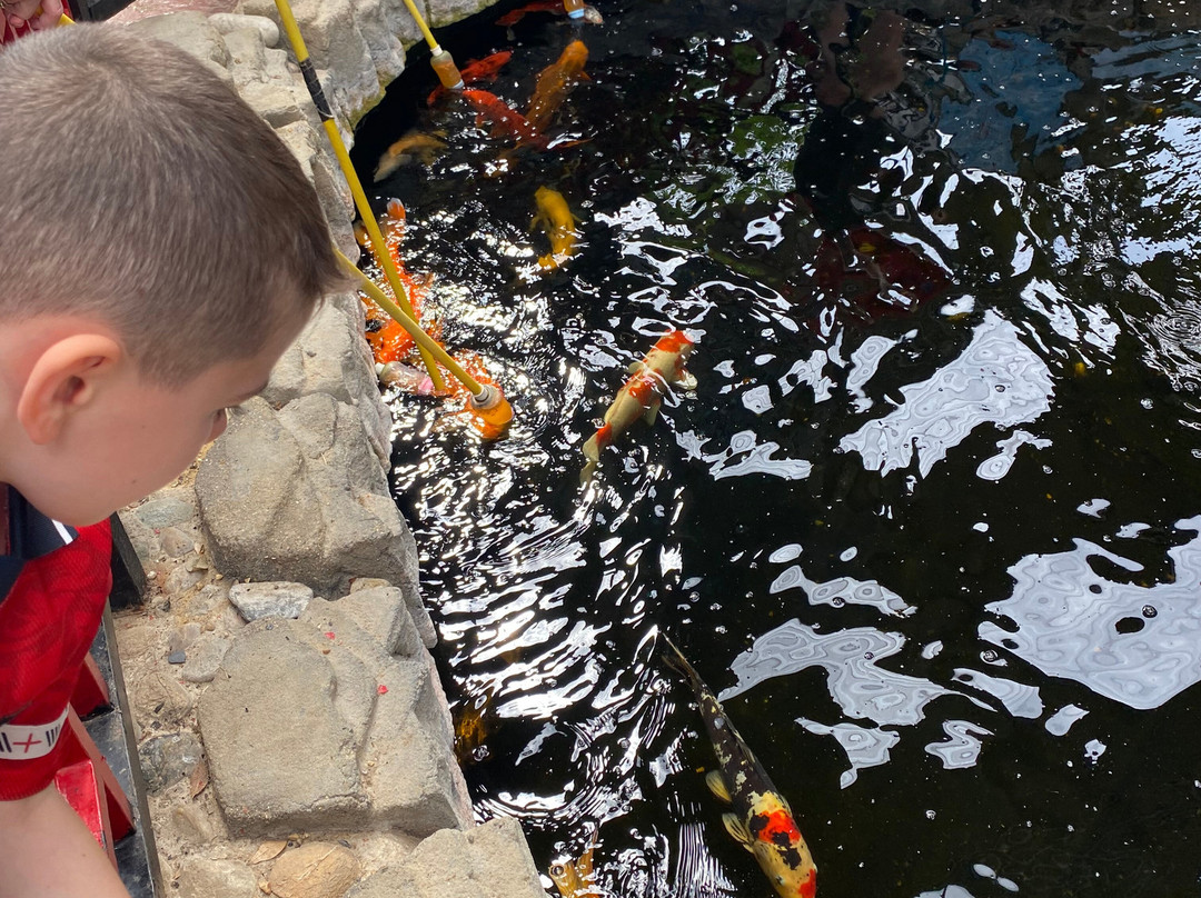 Butterfly World and Fountain World-Wootton必去景点
