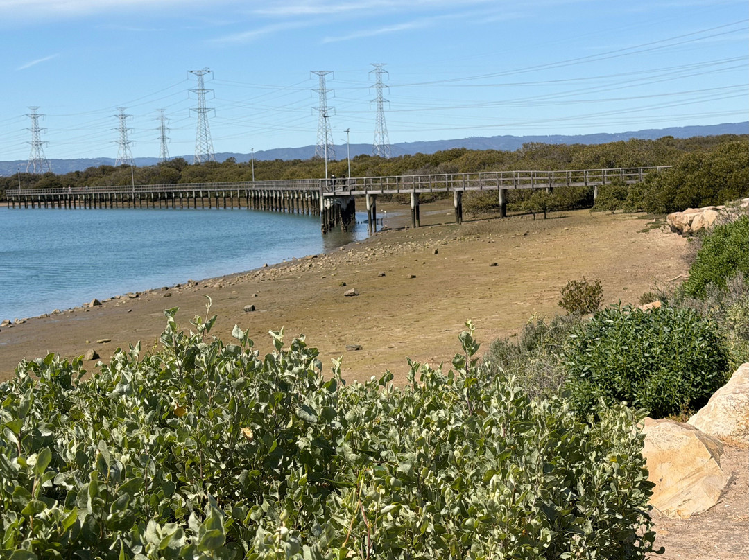 Adelaide Dolphin Sanctuary-Port Adelaide必去景点