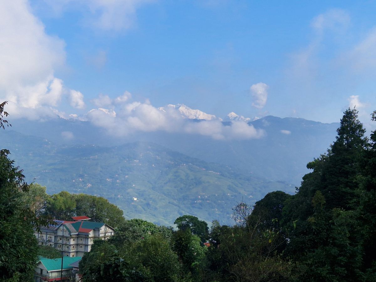 阿迈拉度假村和农场 - 米里克，西孟加拉邦-旅行者
