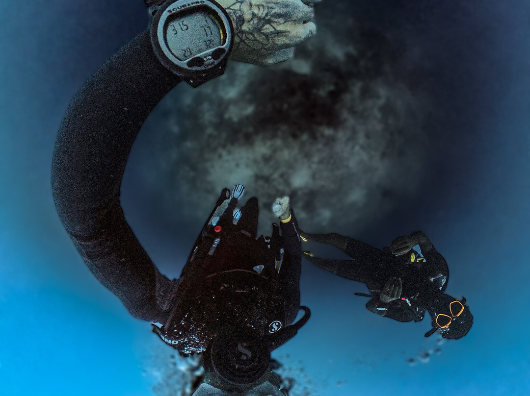 Diving Bluetribe Moofushi-南阿里环礁必去景点