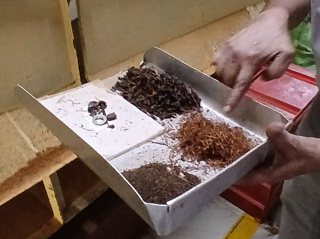Orange Field Tea Factory-Gampola必去景点